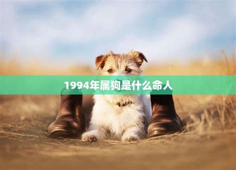 1994是什么狗|1994年属什么生肖 1994年属狗是什么命